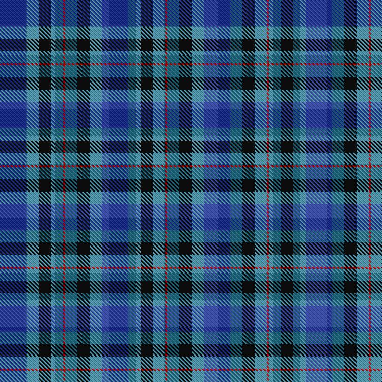 Tartan image: Tong, Ki Wa and Family (Personal). Click on this image to see a more detailed version.
