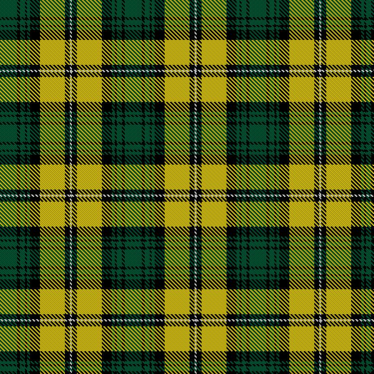 Tartan image: DISG Racing. Click on this image to see a more detailed version.