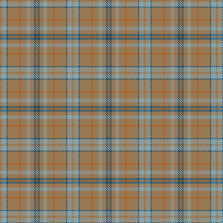 Tartan image: Cruse, C & Family (Personal). Click on this image to see a more detailed version.