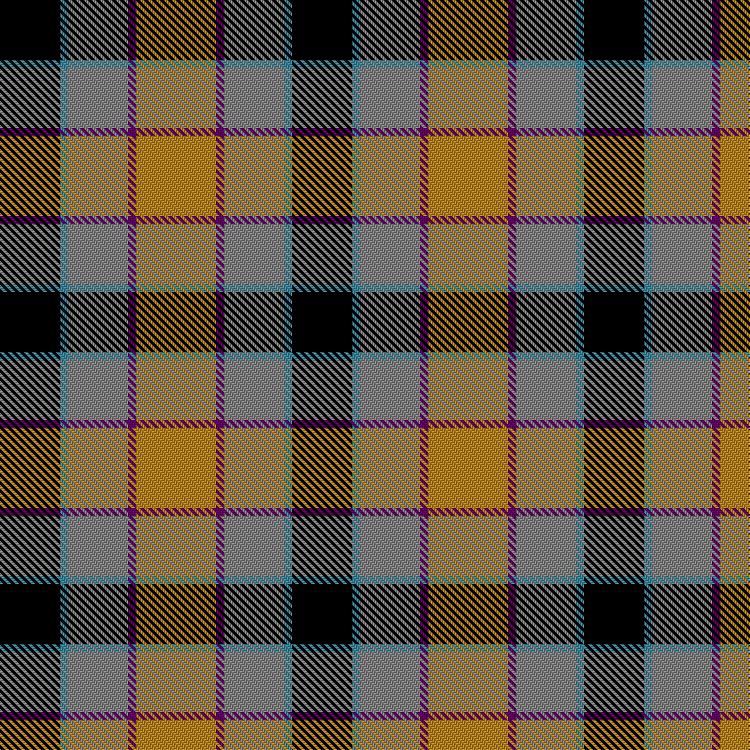 Tartan image: Disability Advocate. Click on this image to see a more detailed version.