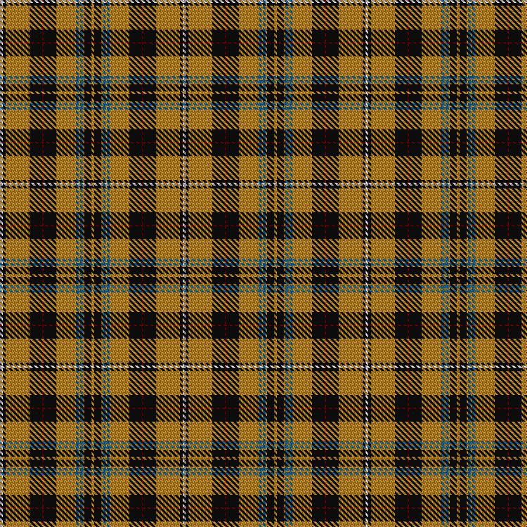 Tartan image: Bremner, Gordon (Personal). Click on this image to see a more detailed version.