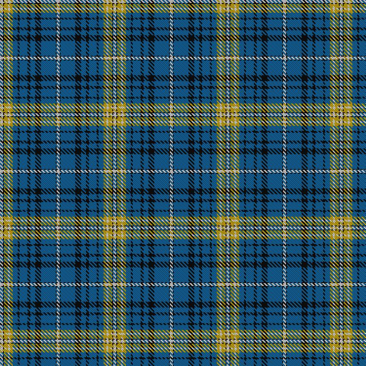 Tartan image: Avalon - Carroll House. Click on this image to see a more detailed version.