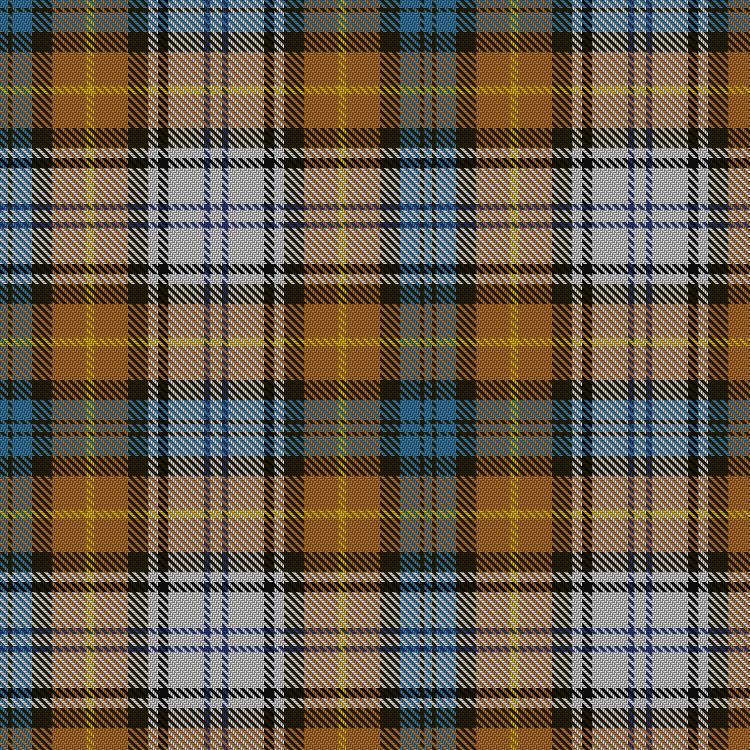 Tartan image: Gordon dress #5. Click on this image to see a more detailed version.