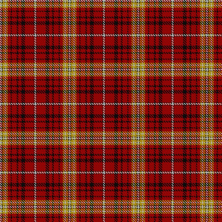 Tartan image: Avalon - Stewart House. Click on this image to see a more detailed version.