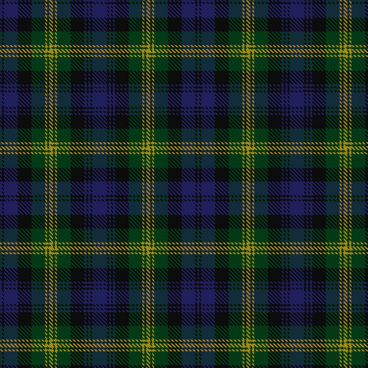 Tartan image: Gordon of Esslemont. Click on this image to see a more detailed version.