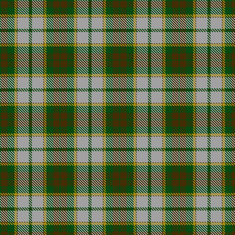 Tartan image: Aviemore Check. Click on this image to see a more detailed version.