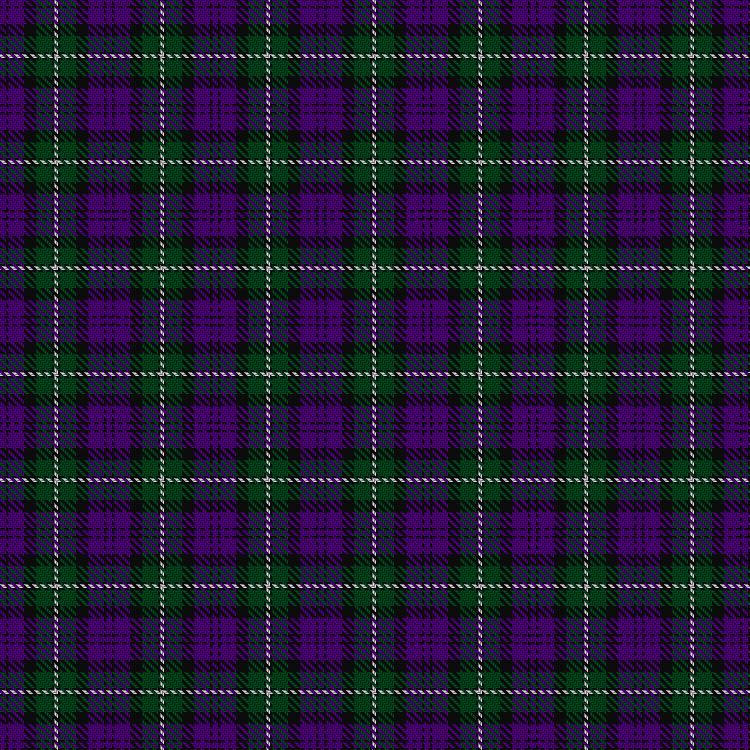 Tartan image: Baillie (Highland Society). Click on this image to see a more detailed version.