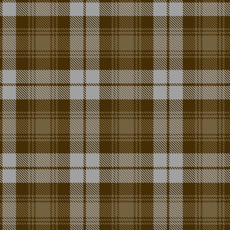 Tartan image: Baillie Dress. Click on this image to see a more detailed version.