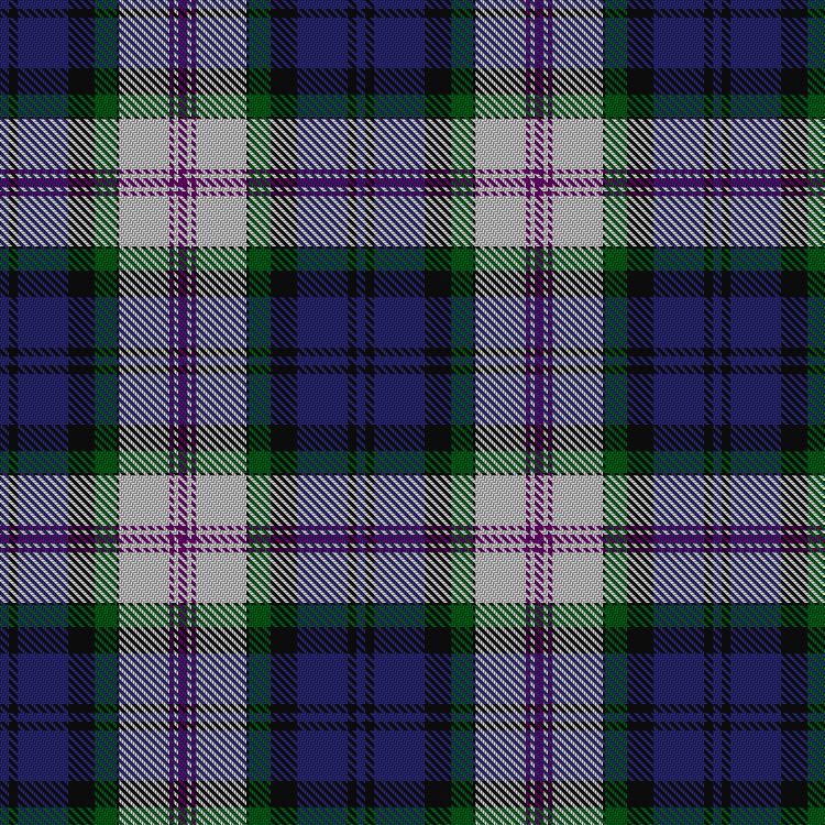 Tartan image: Baird Dress. Click on this image to see a more detailed version.