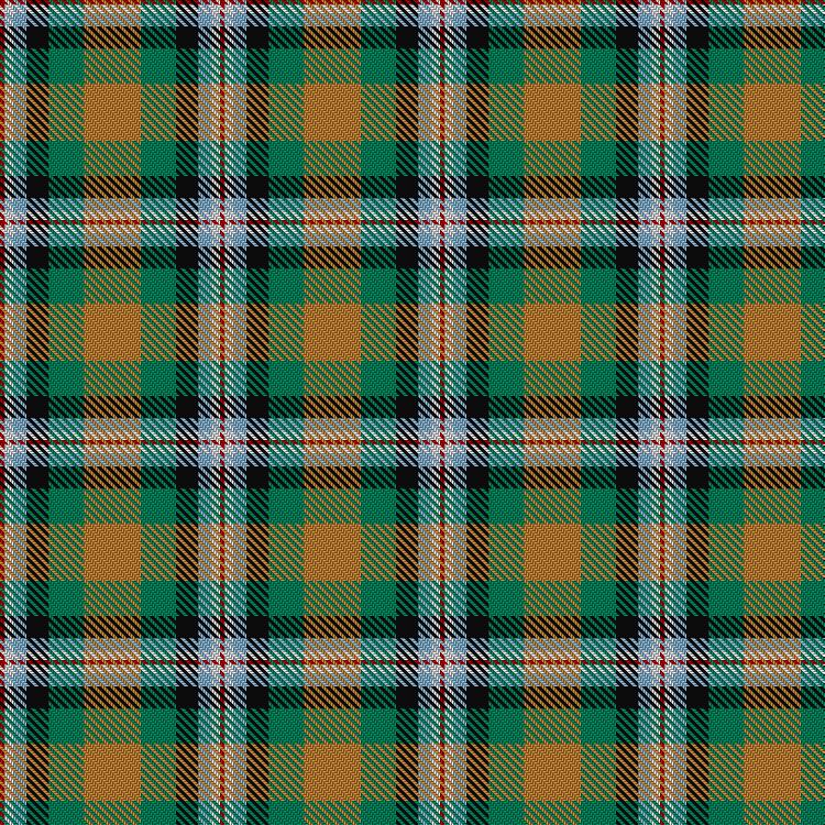 Tartan image: Ball Hunting. Click on this image to see a more detailed version.