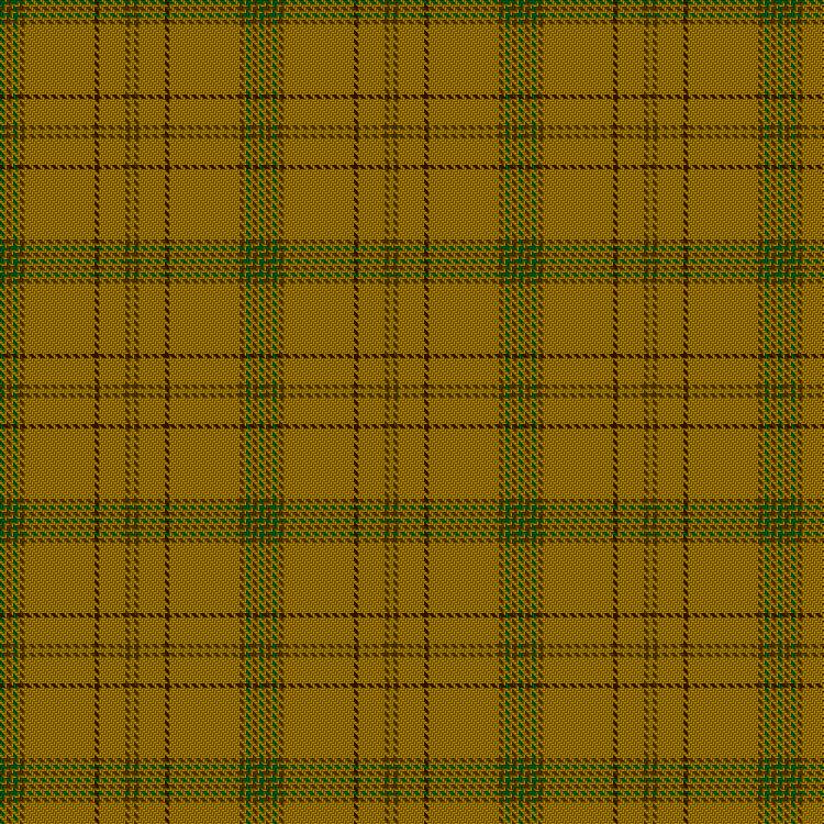Tartan image: Houston (Personal). Click on this image to see a more detailed version.
