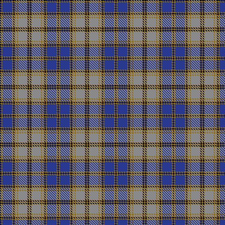 Tartan image: Independence. Click on this image to see a more detailed version.