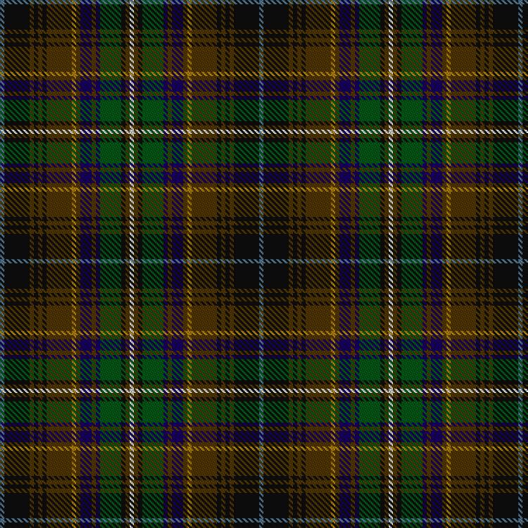 Tartan image: Innes of Learney Hunting (Personal). Click on this image to see a more detailed version.