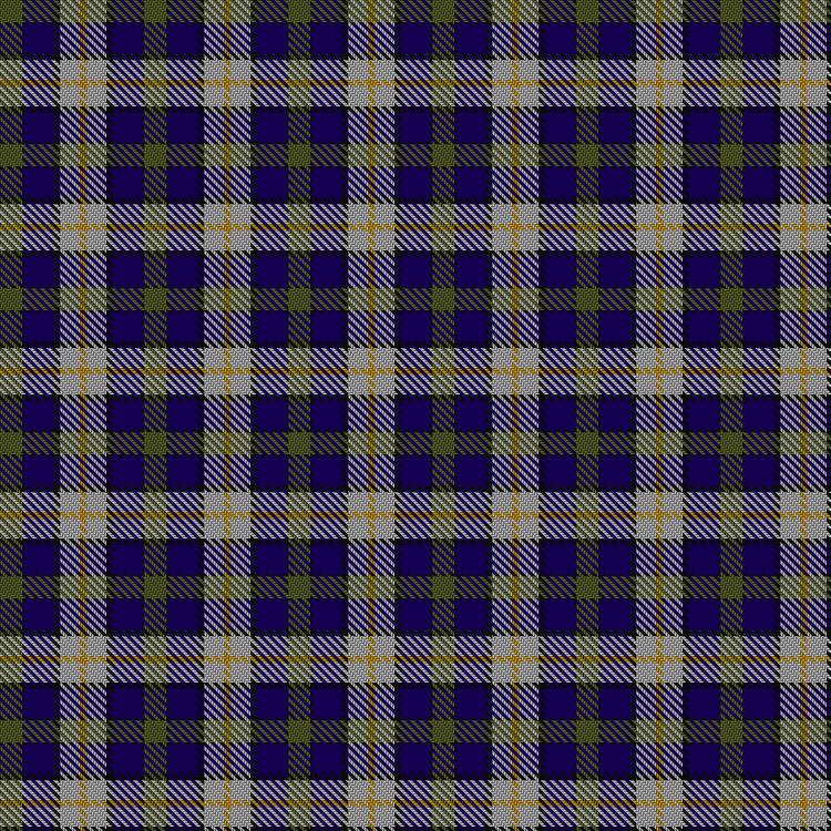Tartan image: Inverary. Click on this image to see a more detailed version.