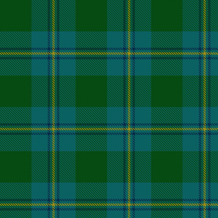 Tartan image: Irving of Bonshaw. Click on this image to see a more detailed version.