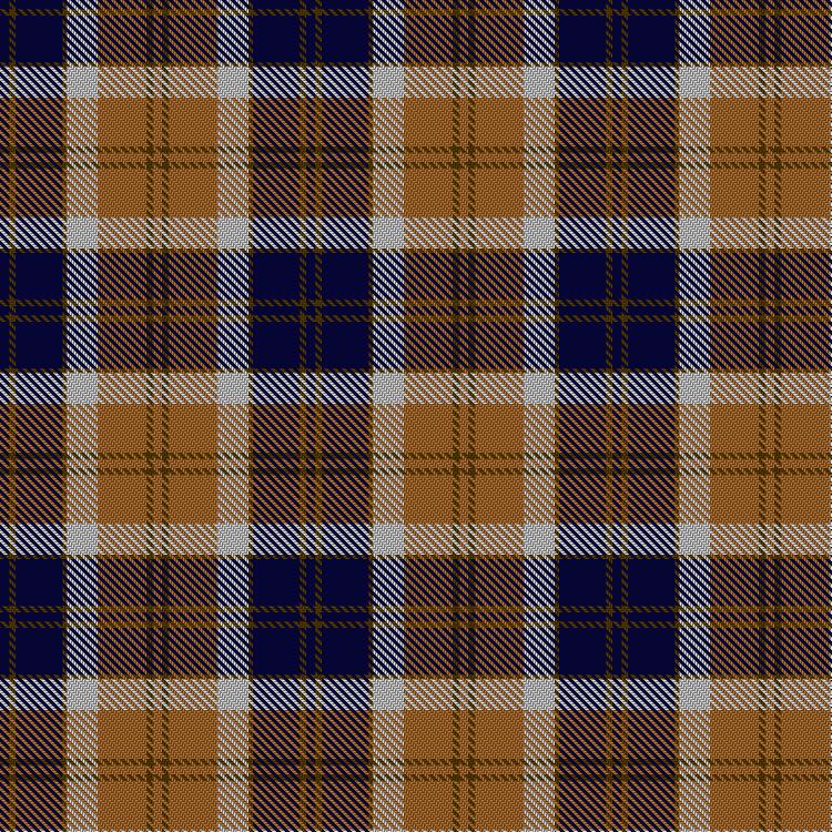 Tartan image: Bannock Bane M.407. Click on this image to see a more detailed version.