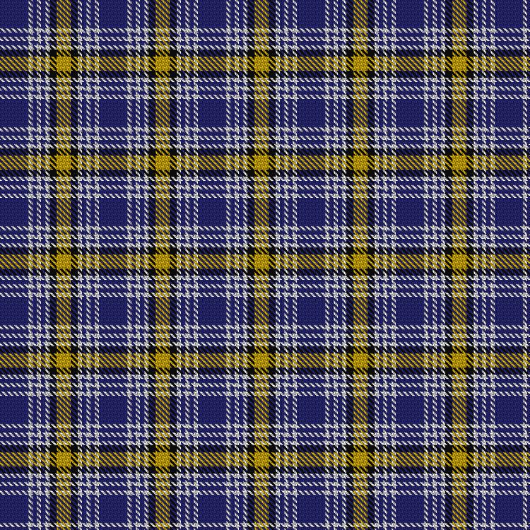 Tartan image: Kile (No red line) (Personal). Click on this image to see a more detailed version.