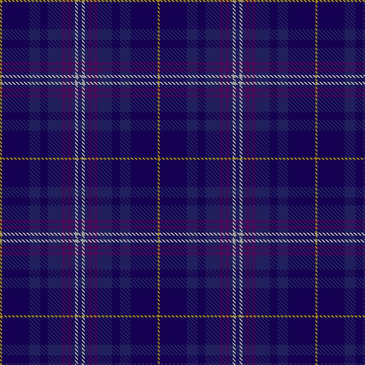 Tartan image: Kilmarnock Football Club (2005). Click on this image to see a more detailed version.
