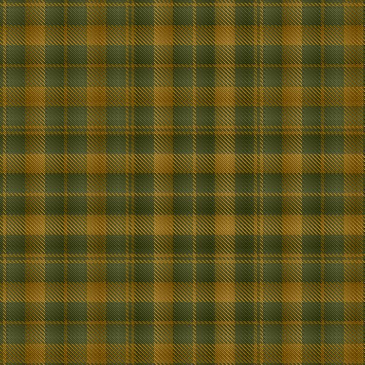 Tartan image: Barbie's Moss Plaid (Yellow & Green). Click on this image to see a more detailed version.