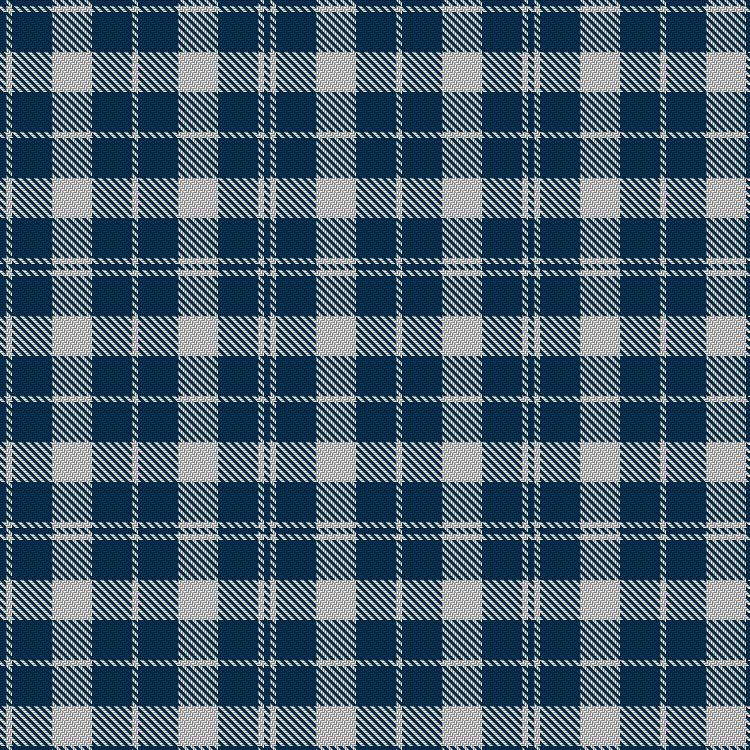 Tartan image: Barbie's Moss Plaid (Blue & White). Click on this image to see a more detailed version.