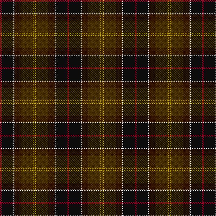 Tartan image: Barbour. Click on this image to see a more detailed version.