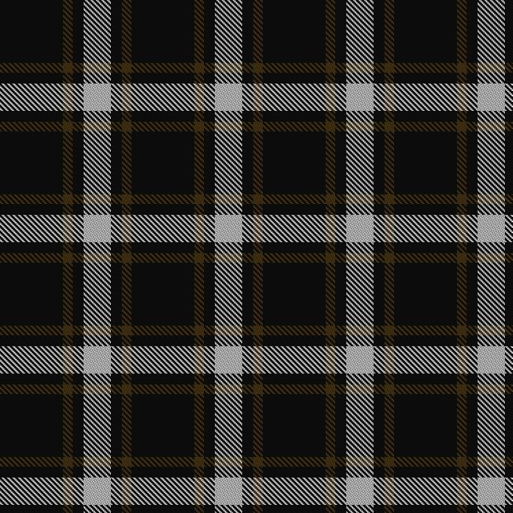 Tartan image: Lords of Skye. Click on this image to see a more detailed version.
