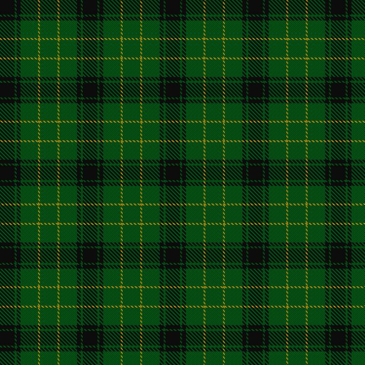 Tartan image: MacArthur (Highland Society). Click on this image to see a more detailed version.