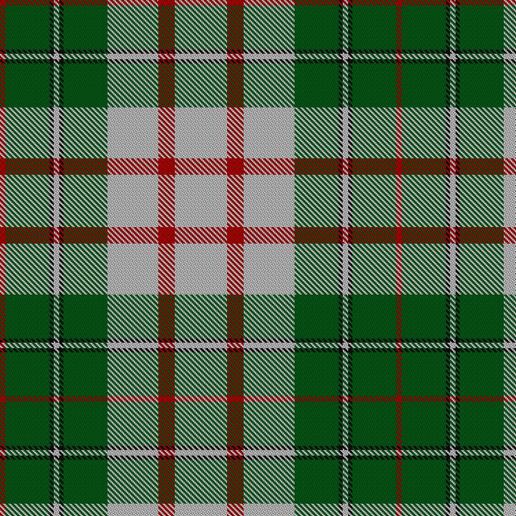 Tartan image: MacDiarmid Dress. Click on this image to see a more detailed version.