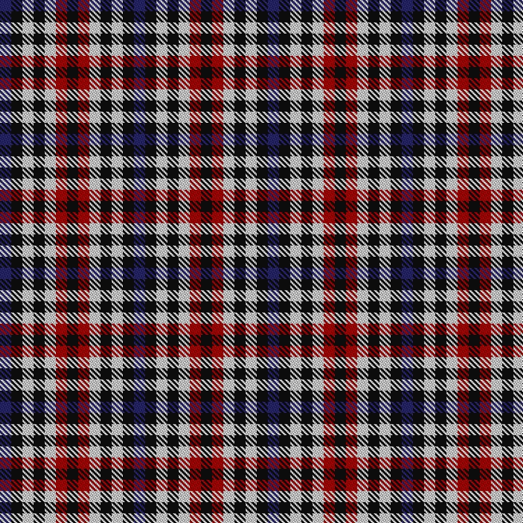 Tartan image: Border Bell. Click on this image to see a more detailed version.