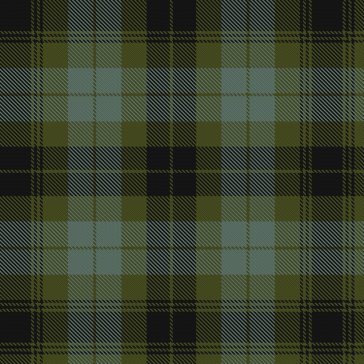 Tartan image: MacIver Family (Personal). Click on this image to see a more detailed version.