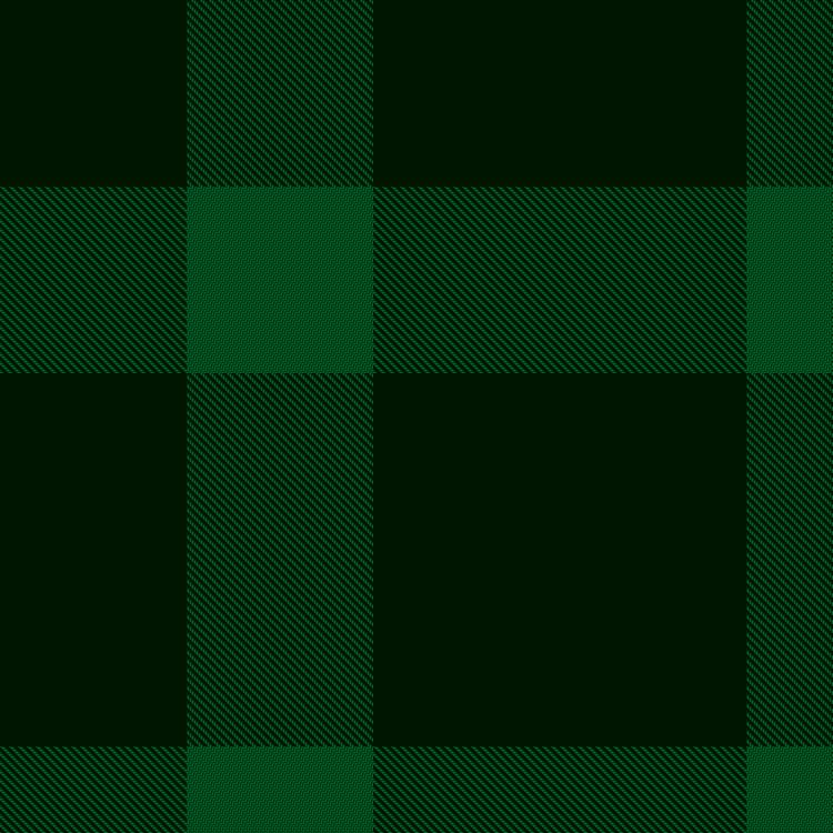 Tartan image: MacKillen Hunting. Click on this image to see a more detailed version.