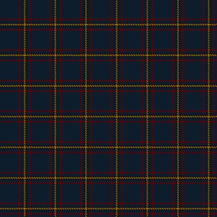 Tartan image: MacLaine of Lochbuie Hunting. Click on this image to see a more detailed version.