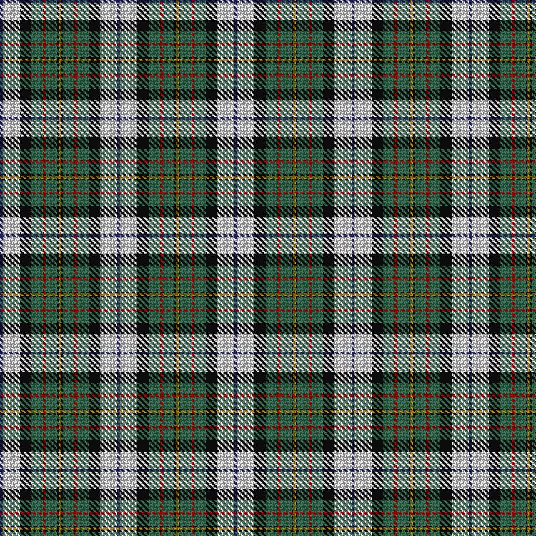 Tartan image: MacLaren Dress. Click on this image to see a more detailed version.