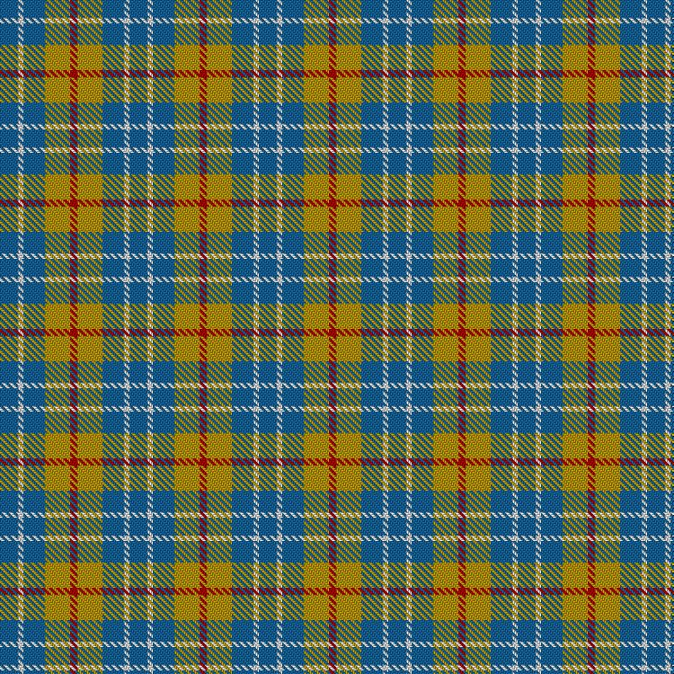 Tartan image: MacLeod of Argentina. Click on this image to see a more detailed version.