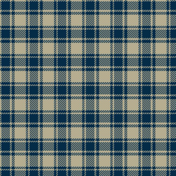 Tartan image: MacMugen (Personal). Click on this image to see a more detailed version.