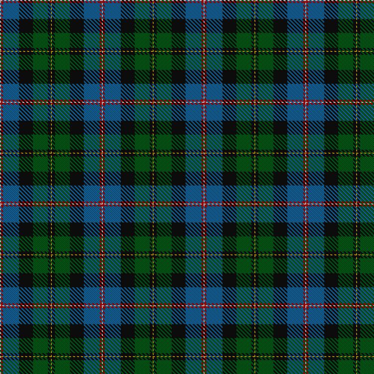 Tartan image: MacNeil of Barra - Chief. Click on this image to see a more detailed version.
