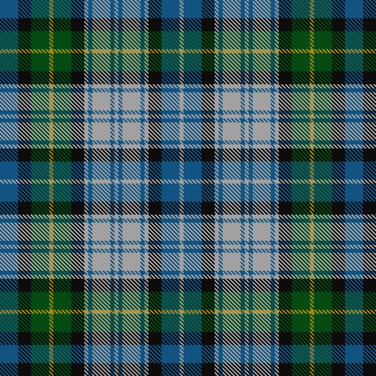 Tartan image: MacNeil Dress. Click on this image to see a more detailed version.