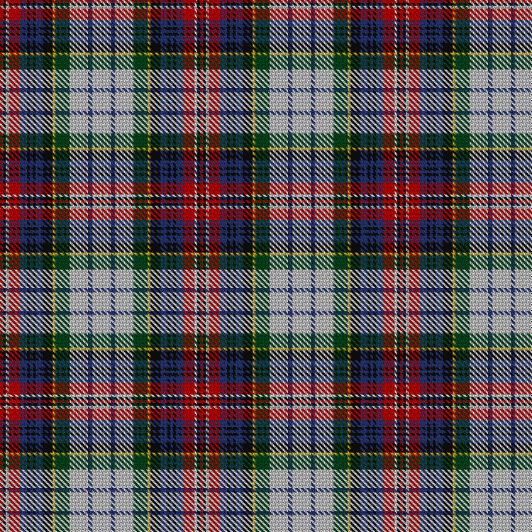 Tartan image: MacPherson Dress. Click on this image to see a more detailed version.