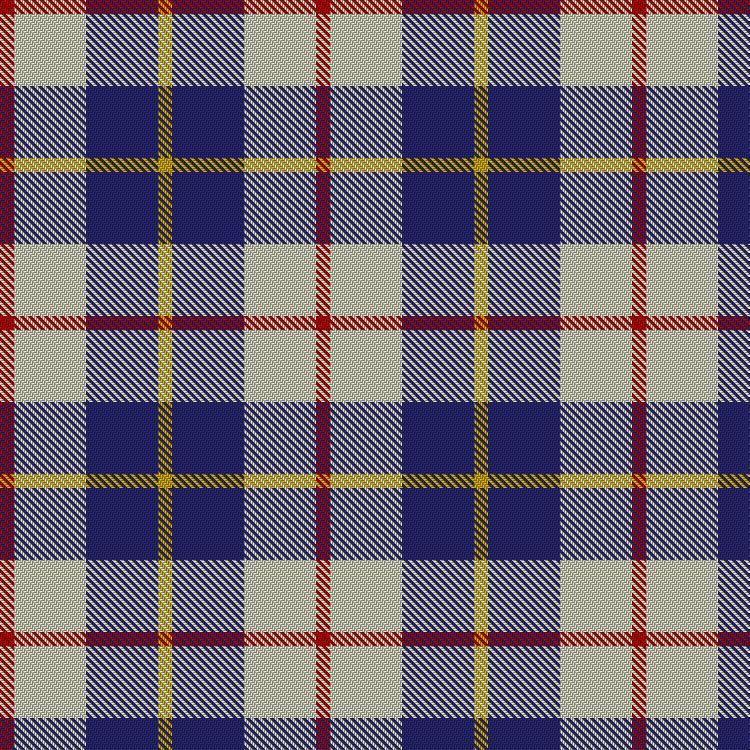 Tartan image: MacRae of Conchra. Click on this image to see a more detailed version.