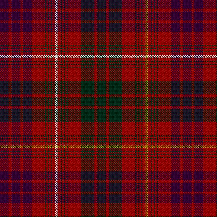 Tartan image: MacRae of Inverinate. Click on this image to see a more detailed version.