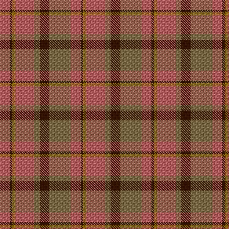 Tartan image: Manhattan Ethnic. Click on this image to see a more detailed version.