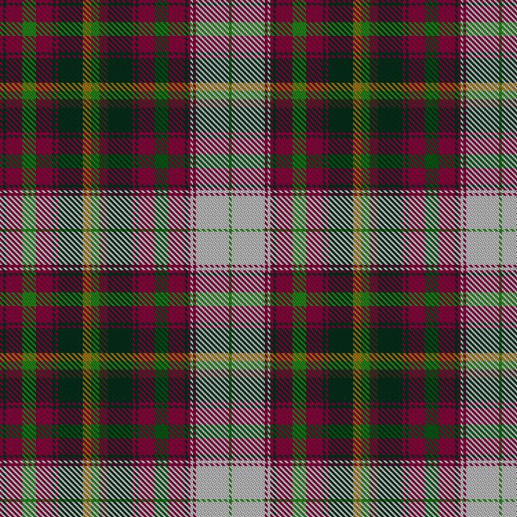Tartan image: Maple Leaf Dress #1. Click on this image to see a more detailed version.