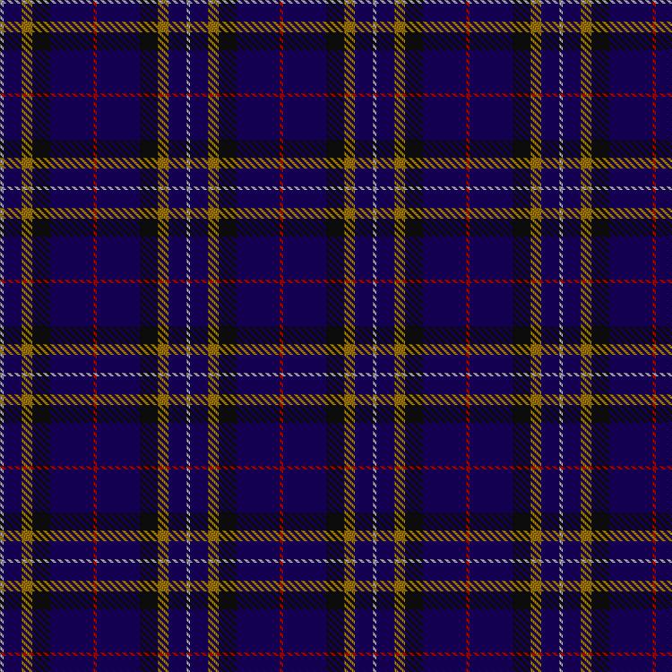 Tartan image: Steward, Nicholas (Personal). Click on this image to see a more detailed version.