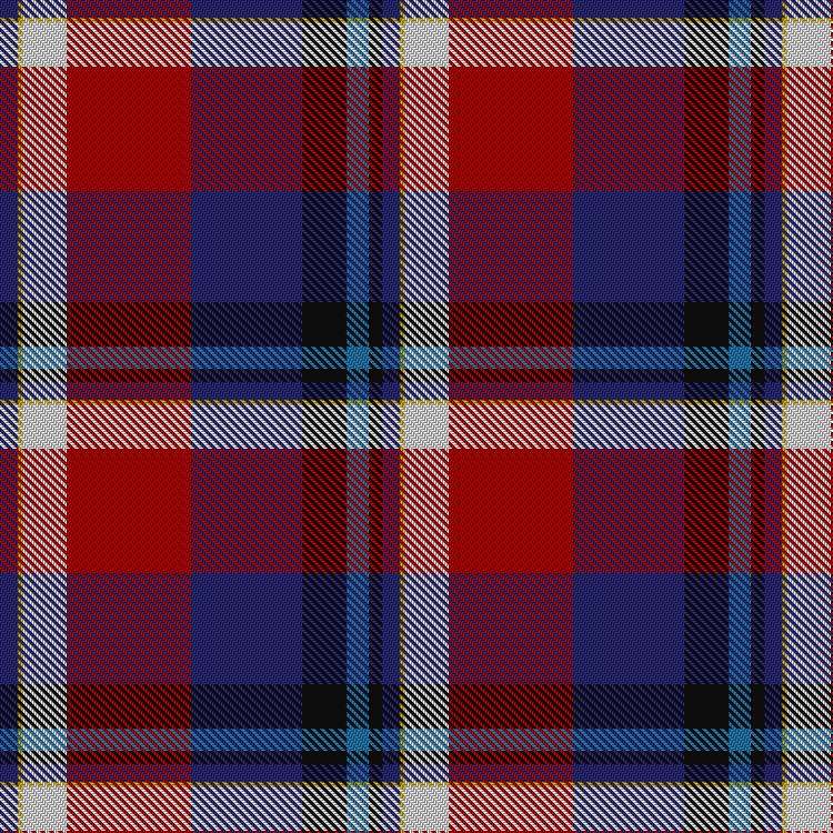 Tartan image: McKnight Dress #2 (Personal). Click on this image to see a more detailed version.