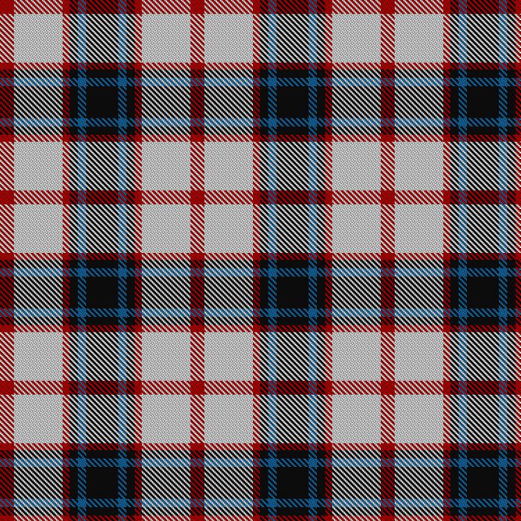 Tartan image: Merrilees Dress (Dance). Click on this image to see a more detailed version.