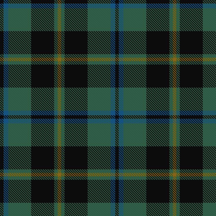 Tartan image: Michaluk (Personal). Click on this image to see a more detailed version.