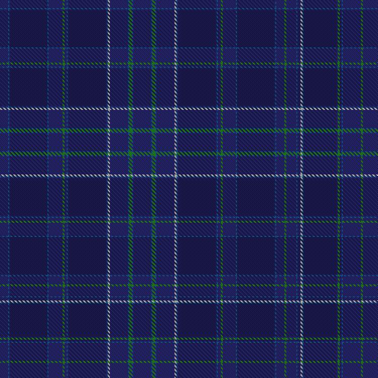 Tartan image: Millennium (Texcraft). Click on this image to see a more detailed version.