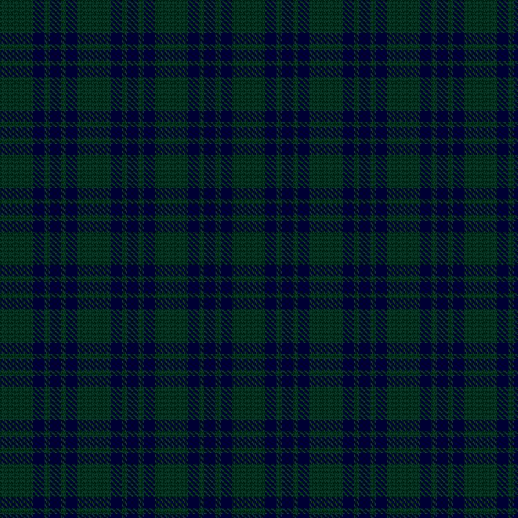 Tartan image: Montgomery. Click on this image to see a more detailed version.