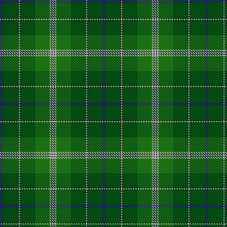 Tartan image: Montgomery, Stuart (Personal). Click on this image to see a more detailed version.