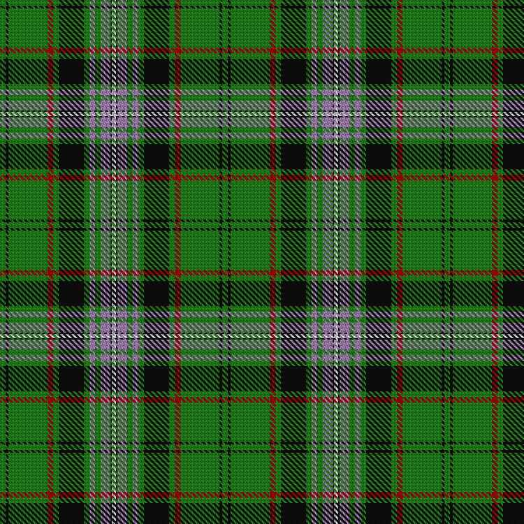 Tartan image: Moss. Click on this image to see a more detailed version.